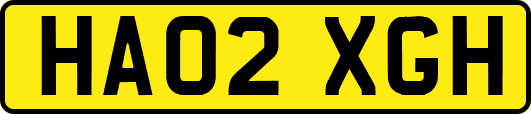 HA02XGH