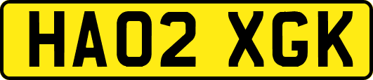 HA02XGK