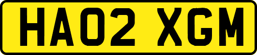 HA02XGM