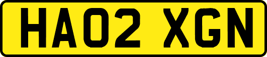 HA02XGN
