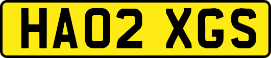 HA02XGS