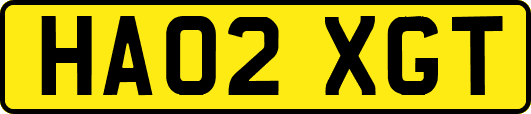 HA02XGT