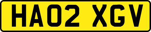 HA02XGV