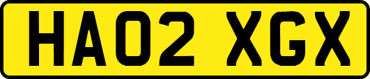 HA02XGX