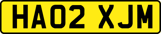 HA02XJM
