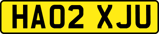 HA02XJU