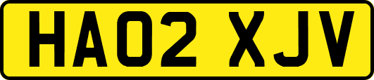 HA02XJV