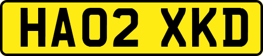 HA02XKD