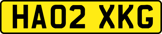 HA02XKG