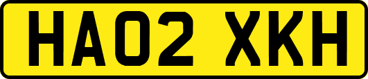 HA02XKH