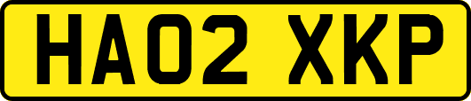 HA02XKP