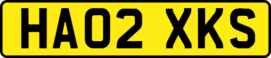 HA02XKS