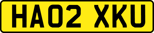 HA02XKU