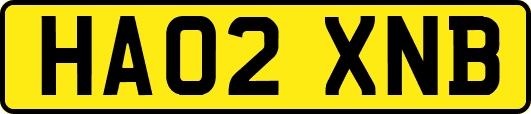 HA02XNB