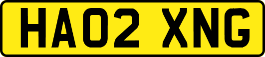 HA02XNG
