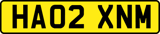 HA02XNM