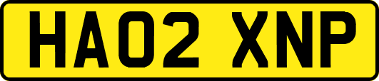 HA02XNP