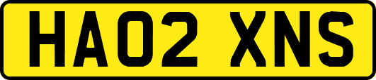 HA02XNS
