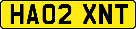 HA02XNT