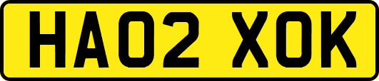 HA02XOK