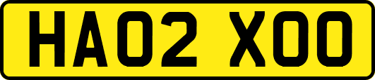 HA02XOO