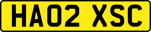 HA02XSC