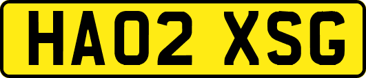HA02XSG