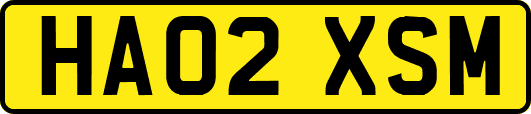 HA02XSM
