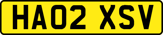 HA02XSV