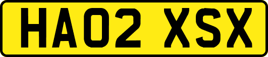 HA02XSX