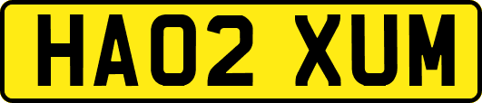 HA02XUM