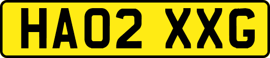 HA02XXG