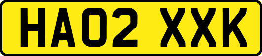HA02XXK