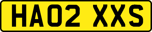 HA02XXS