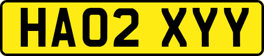 HA02XYY