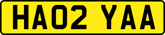 HA02YAA