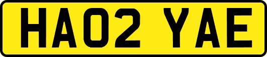 HA02YAE