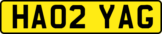 HA02YAG