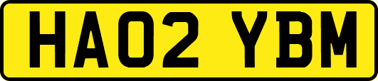 HA02YBM