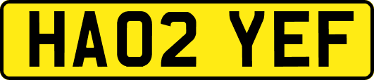 HA02YEF