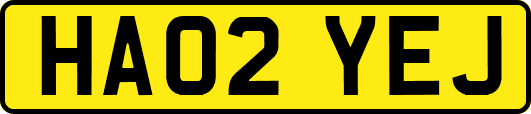 HA02YEJ