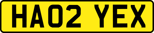 HA02YEX