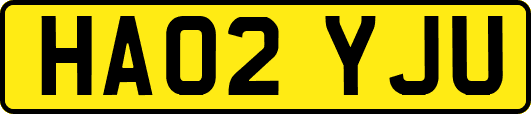 HA02YJU
