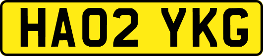 HA02YKG