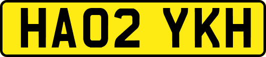 HA02YKH