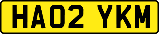 HA02YKM