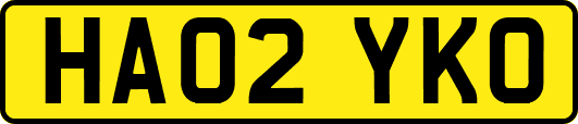 HA02YKO