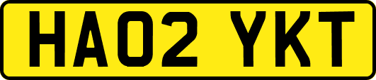 HA02YKT