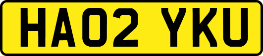 HA02YKU