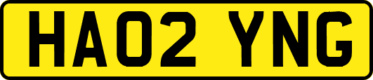 HA02YNG